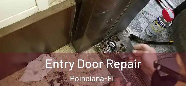  Entry Door Repair Poinciana-FL